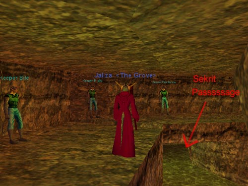 The Secret Cave
