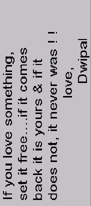 Lovely text!