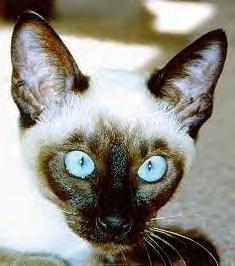 Look into my eyes...look deep into my eyes