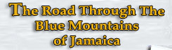 Shaw Park Beach Hotel & Suites - Jamaica