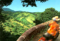 Photo: Jamaica Tourist Board