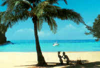 Photo: Jamaica Tourist Board