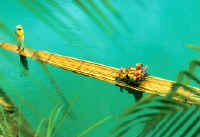Photo: Jamaica Tourist Board