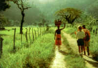 Photo: Jamaica Tourist Board