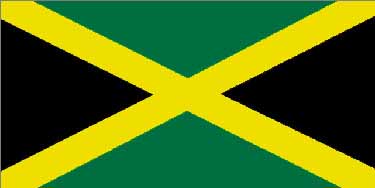flag.jpg (8122 bytes)