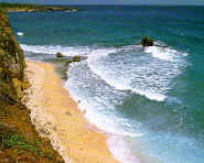beach shot.jpg (45943 bytes)