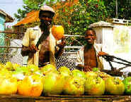 coconut_vendors_s.jpg (14833 bytes)