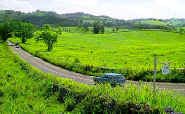 country road.jpg (42064 bytes)