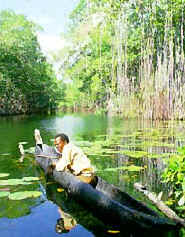 fishing on black river.jpg (19972 bytes)