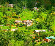 not so posh homes.jpg (49762 bytes)