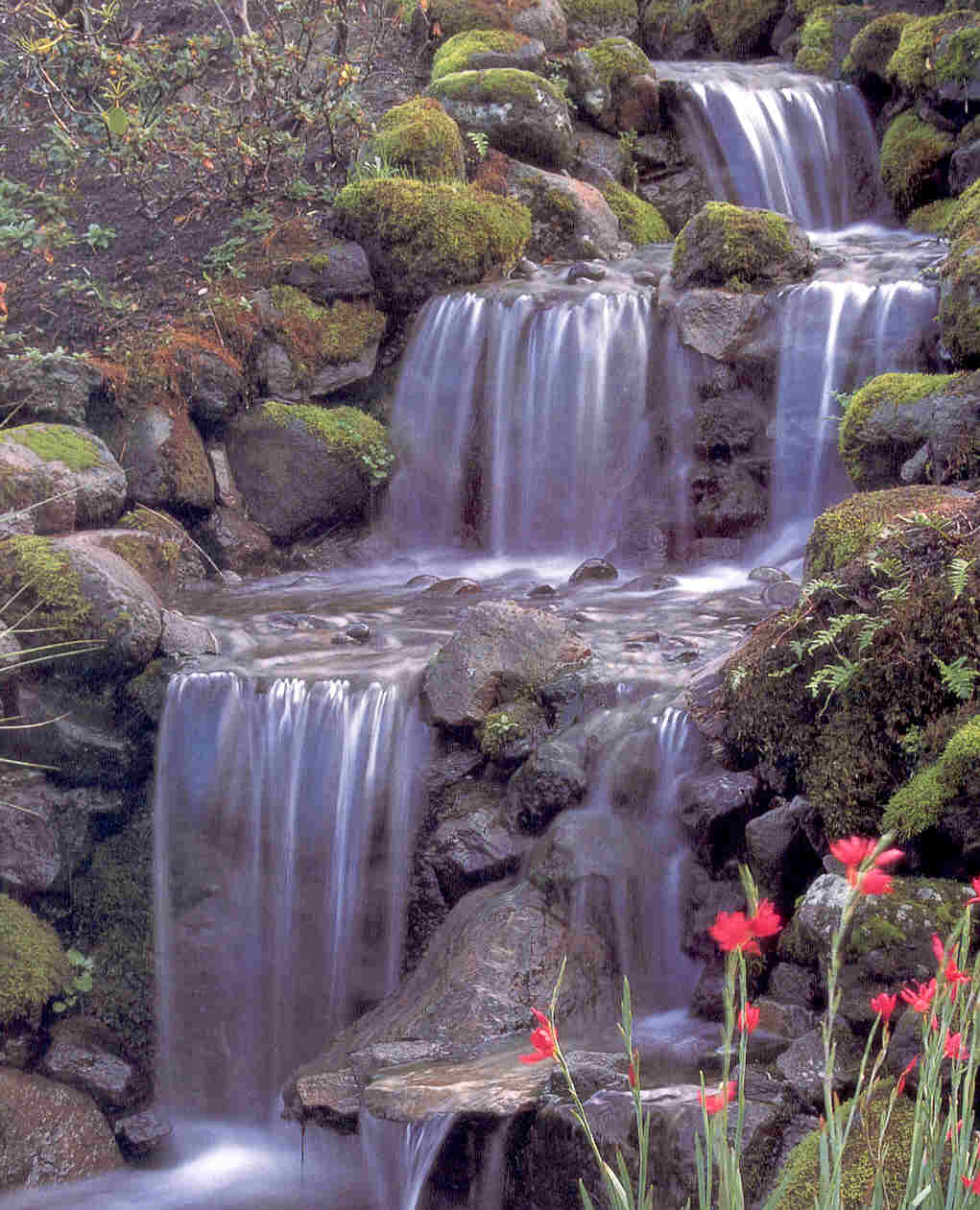 God's rivers  ..