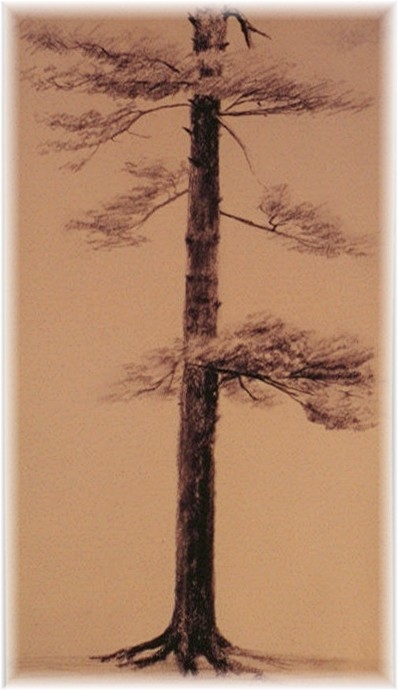 Goshenpine
