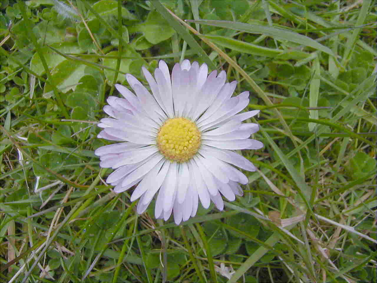 April 2002