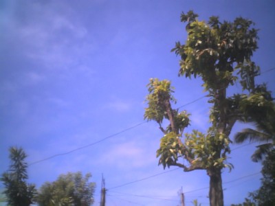 This image has been resized