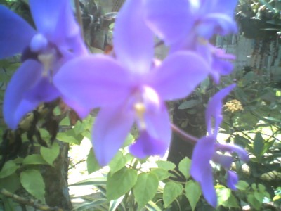 This image has been resized