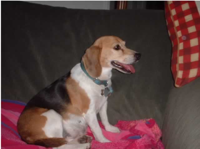 Bonnie, Safe to live life easy