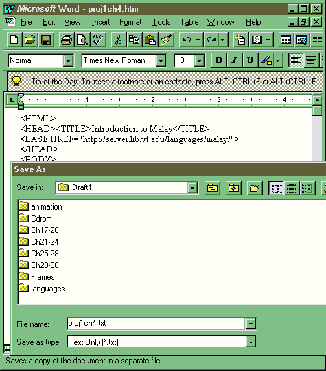 Microsoft Word document window