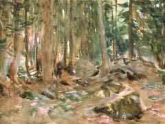 Pine Forest, Sargent