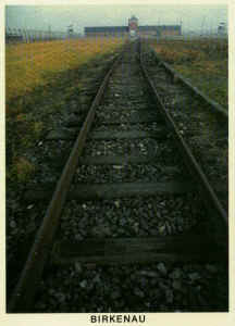 birkenau2, poland.jpg (64838 bytes)