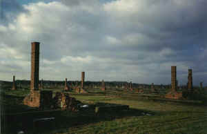 birkenau, poland.jpg (33685 bytes)