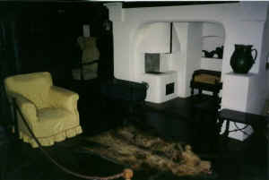 cheacescu's bear rug.jpg (30271 bytes)