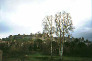 carcasonne, france.jpg (81688 bytes)