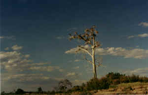 desolation - uintah basin.jpg (409896 bytes)