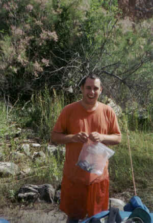 dinosaur - split mt soaking.jpg (312638 bytes)