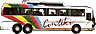 Contiki Holidays