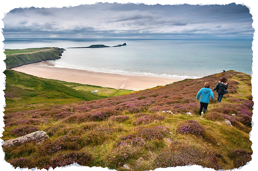 rhosilli
