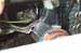 ic_headlight_left1
