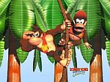 Donkey Kong Country