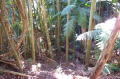 pics2_031