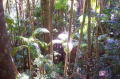 pics2_032