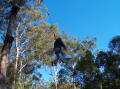 pics4_160