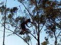pics4_279