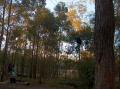pics4_289