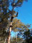 pics4_313