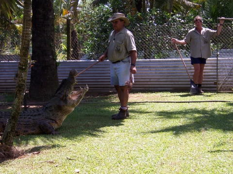 bigcroc