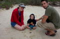straddie4