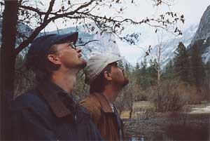 Vista.
