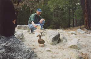 Quack.