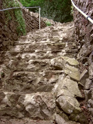 Steps