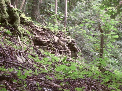 Remains of a Ruin
