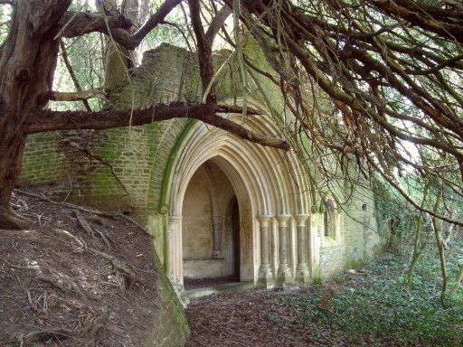 Bonville Spring at Witley
