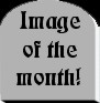 Gothic Image of the Month!!