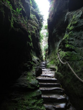The Cleft