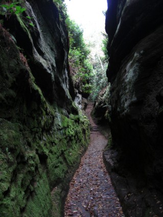 The Cleft