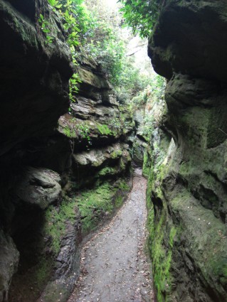 The Cleft