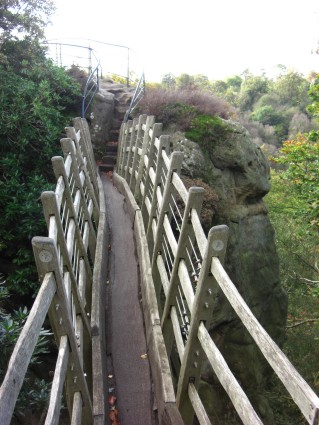 The Swiss Bridge